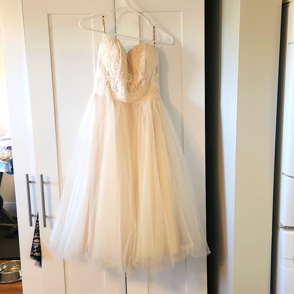 NWT Chi chi London lace & tulle tea length dress,blush, bridal shower, rehearsal